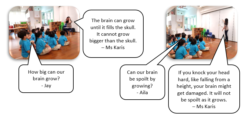 Brain_2.png